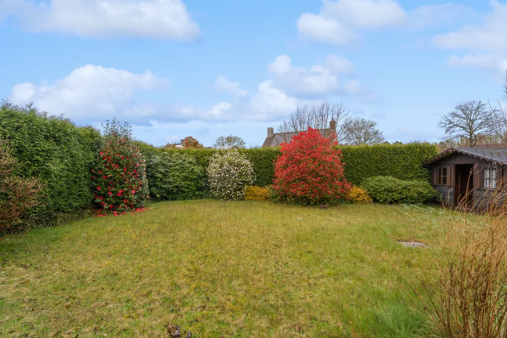 Sint-Michiels---Biezenbos-8-31.jpg