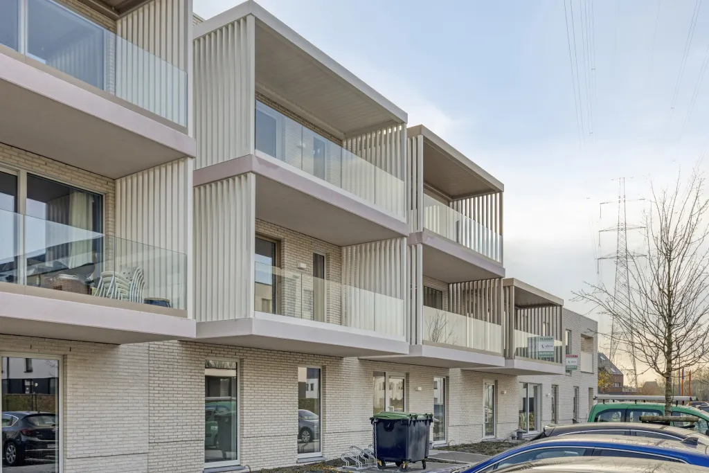 Drypikkel17Merchtem03.jpg