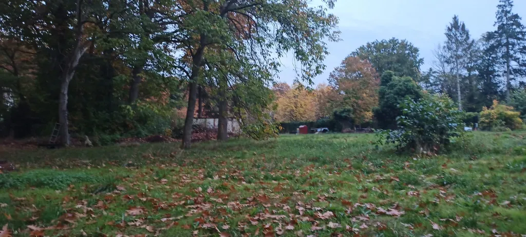 Foto-1.jpg