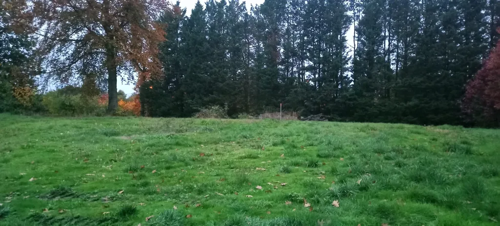 Foto-4.jpg