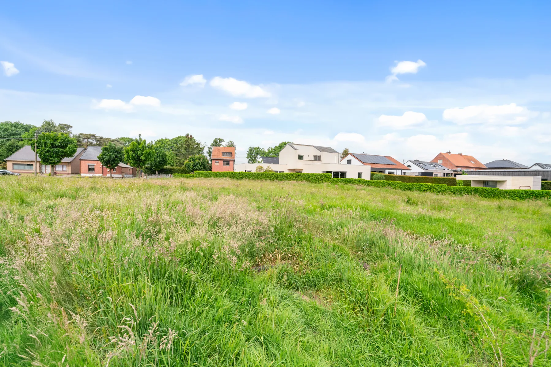 picture_7647842_76828486.jpg