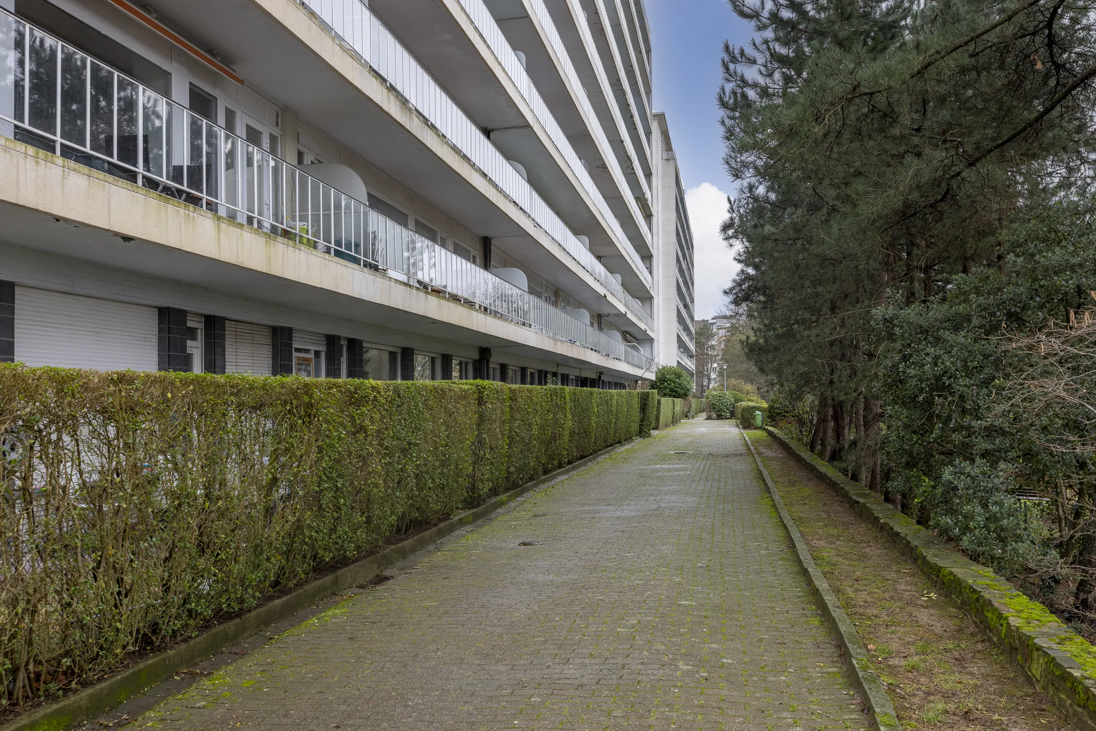 Sperwerlaan-111-Sint-Pieter-Woluwe-22.JPG