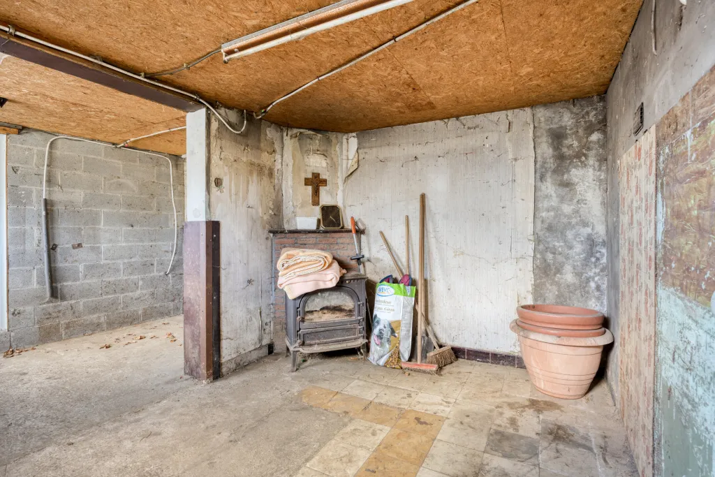 Ganzendries193212Lubbeek-23_web.jpg