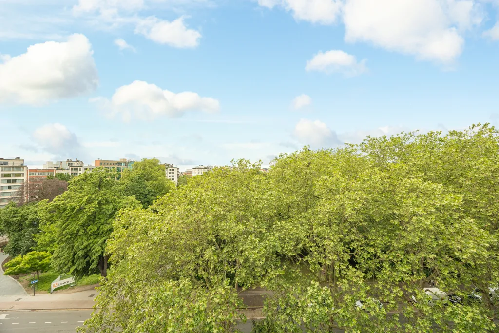 ALT-20260505-2-6.jpg
