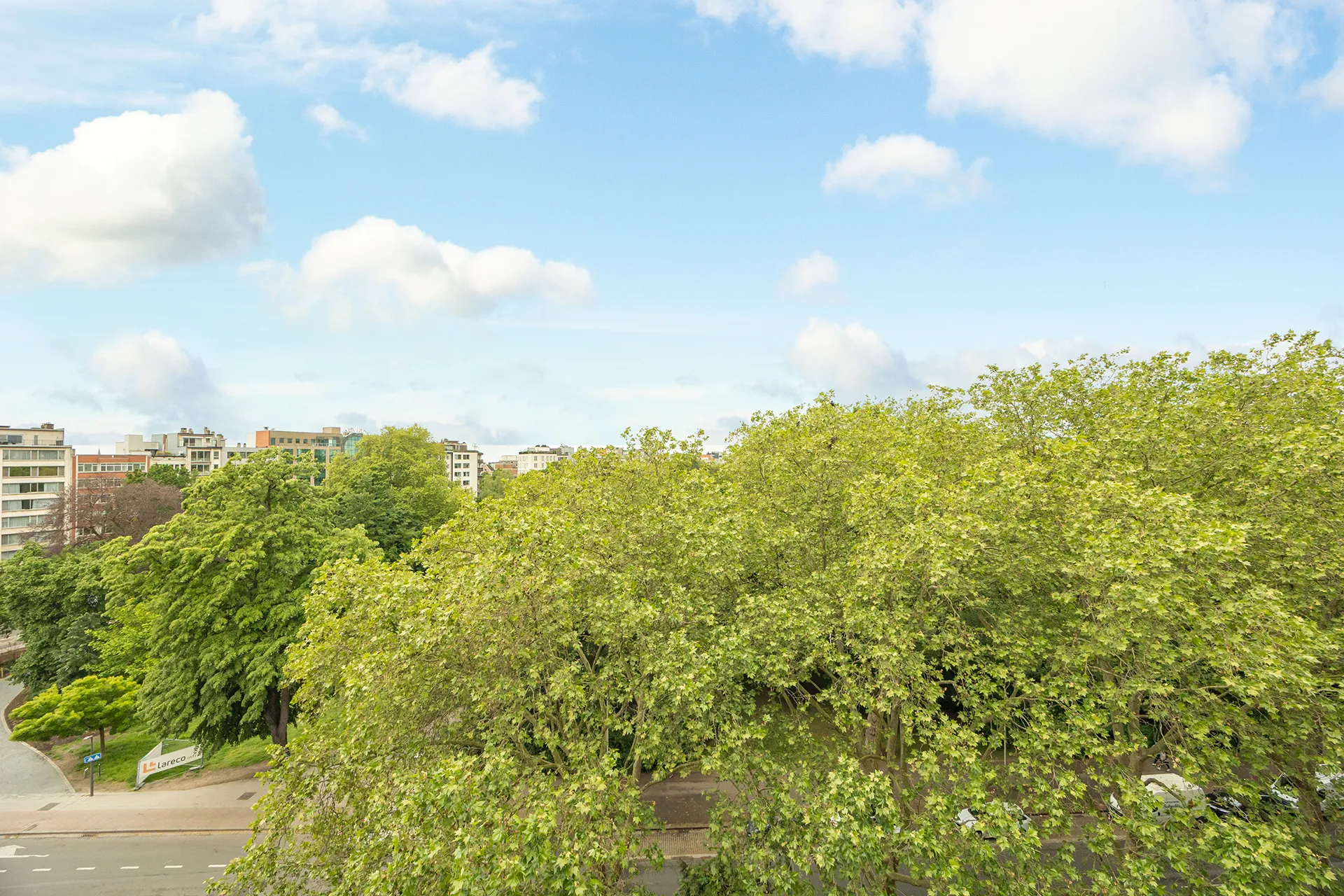 ALT-20260505-2-6.jpg