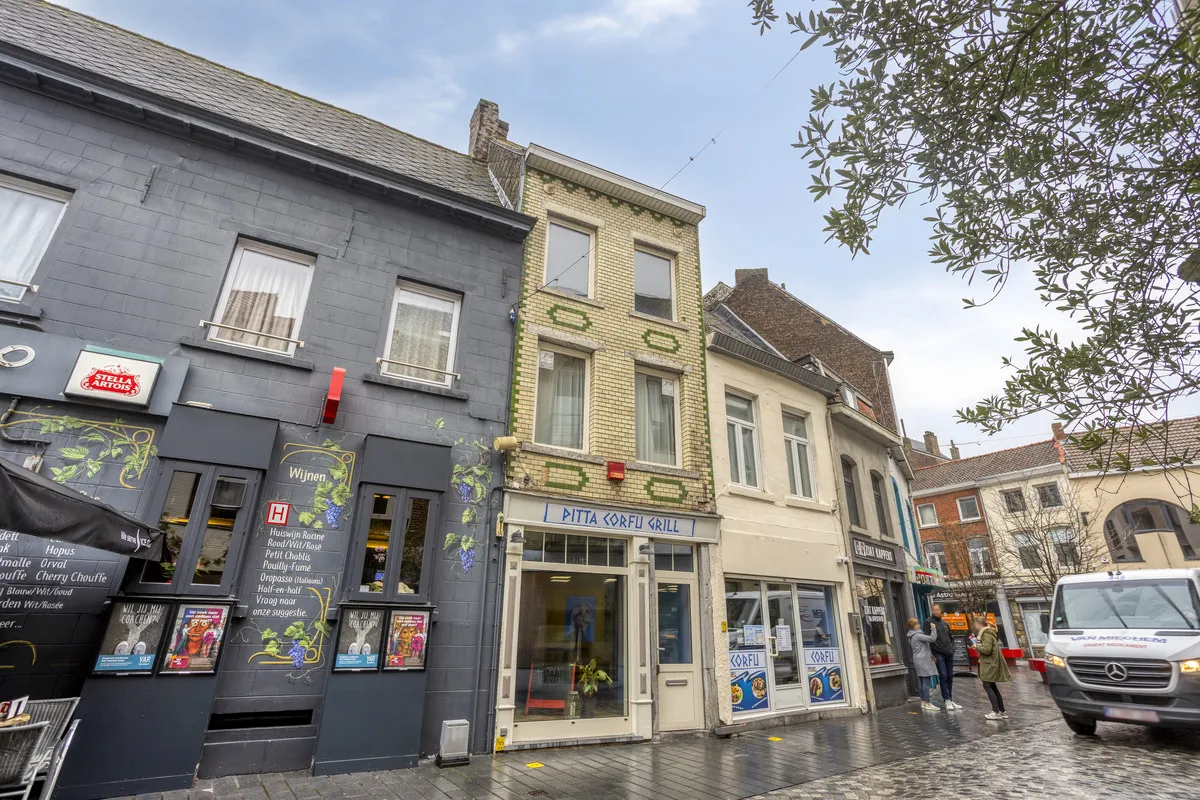 Bergensesteenweg81500Halle-03_lowres.jpg