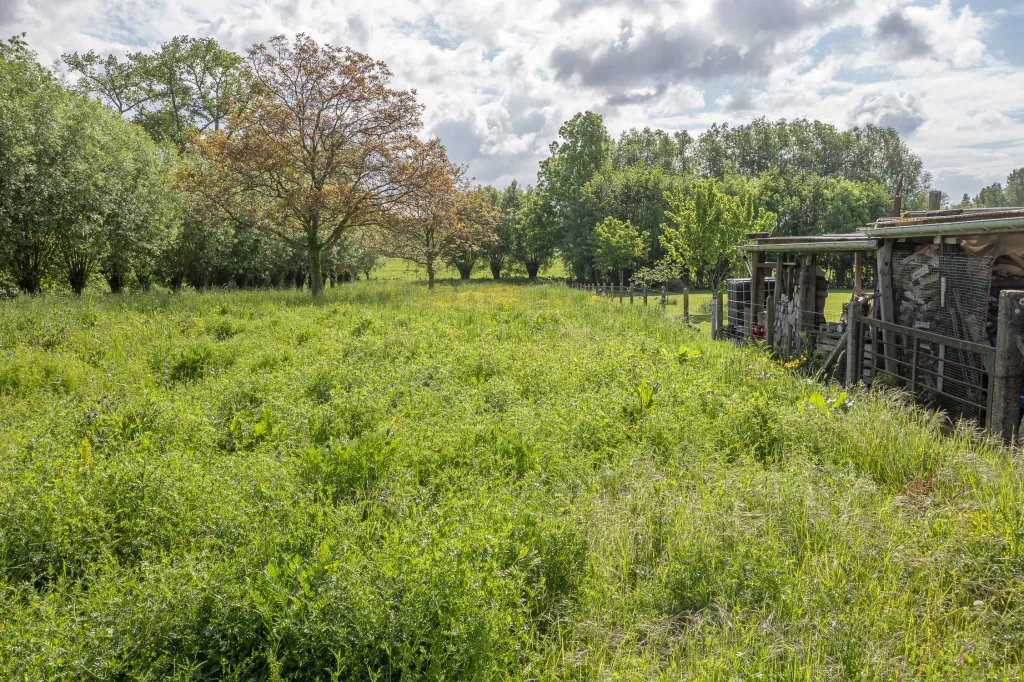 Watermolenweg-26-Itterbeek-Buiten+drone-12.JPG