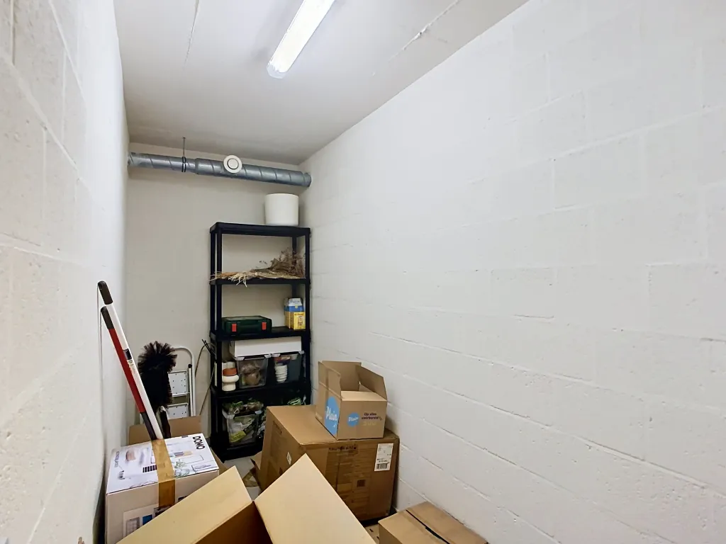 groot-park-7b-10_00142.jpg
