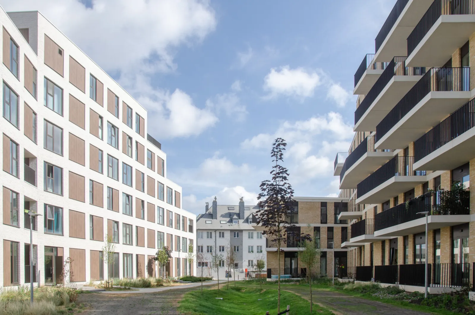 BINST-ARCHITECTS_1742_MAAG_c_BAR_rd_46_mid-2500x0-c-default.jpeg