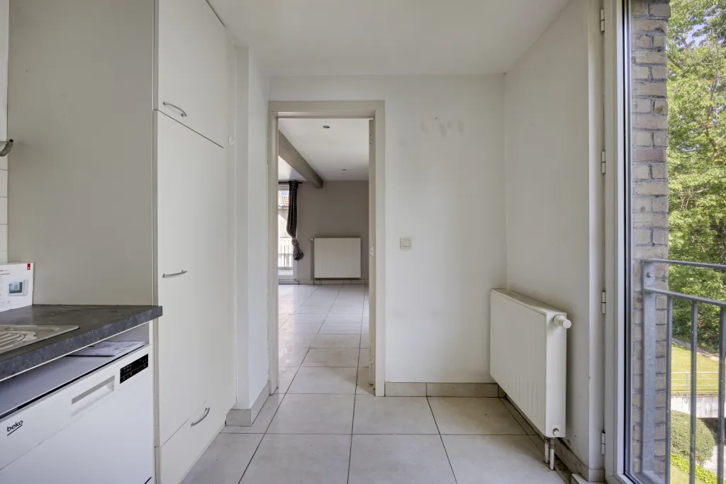 Kluisbos51211501Halle-21_web.jpg