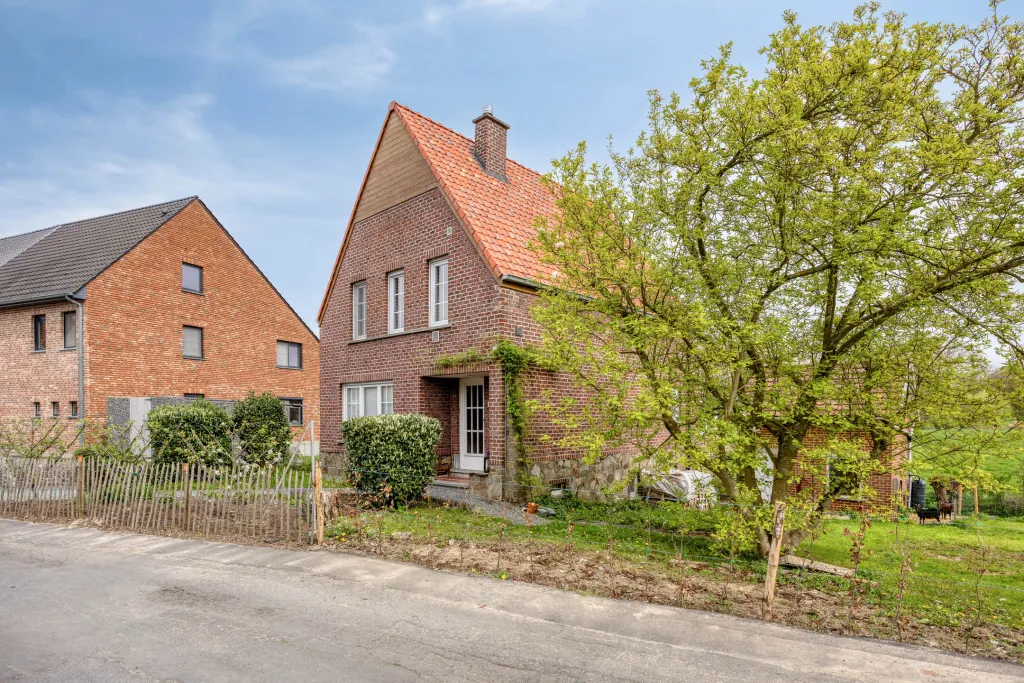 Neerstraat1469400Ninove-05_web.jpg