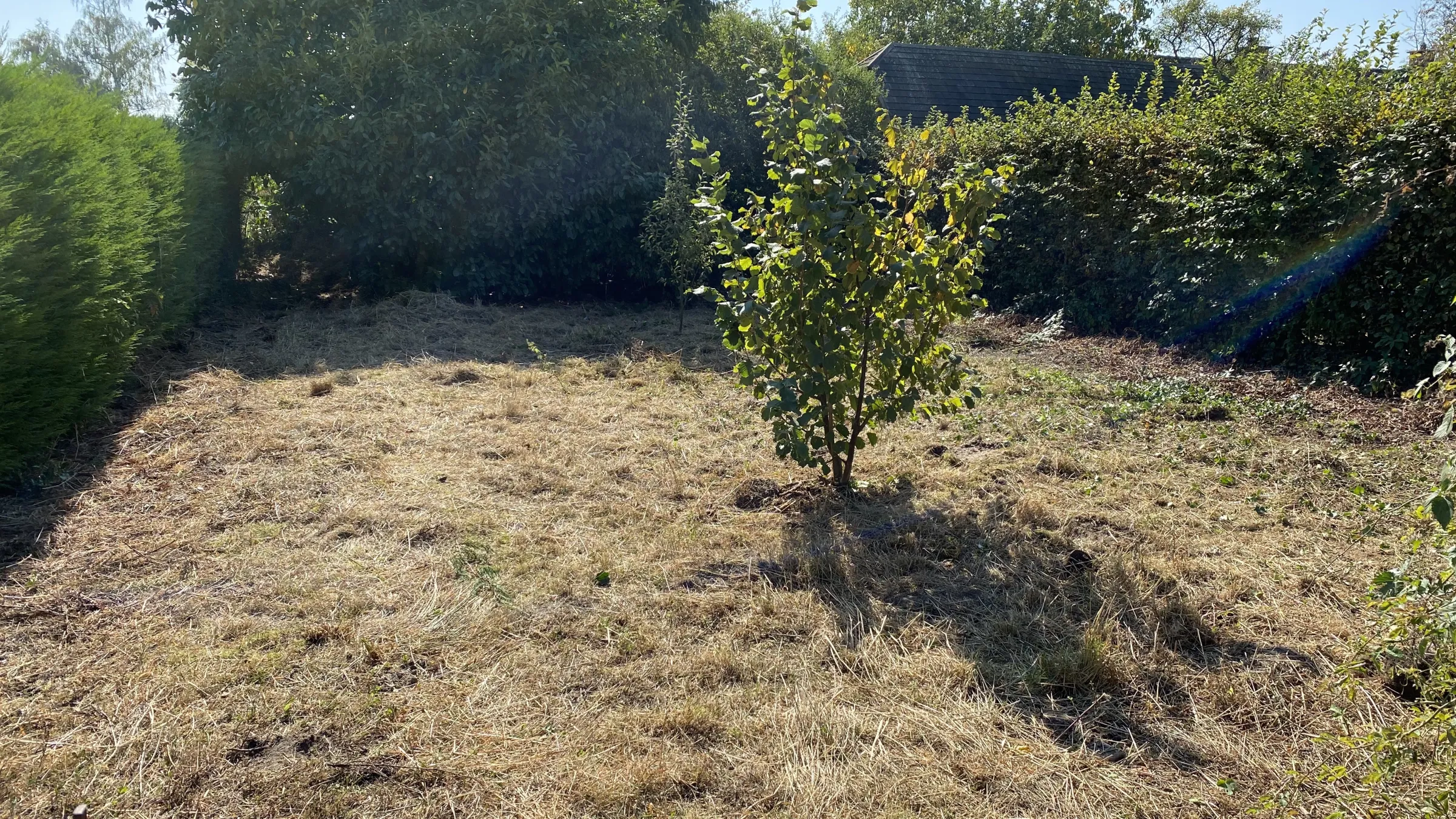 Foto-21-09-2020-12-58-38.jpg