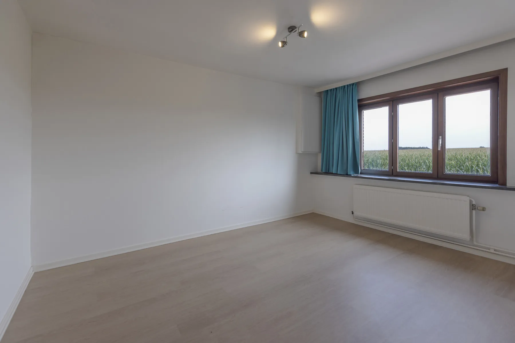 picture_7627408_76532255.jpg