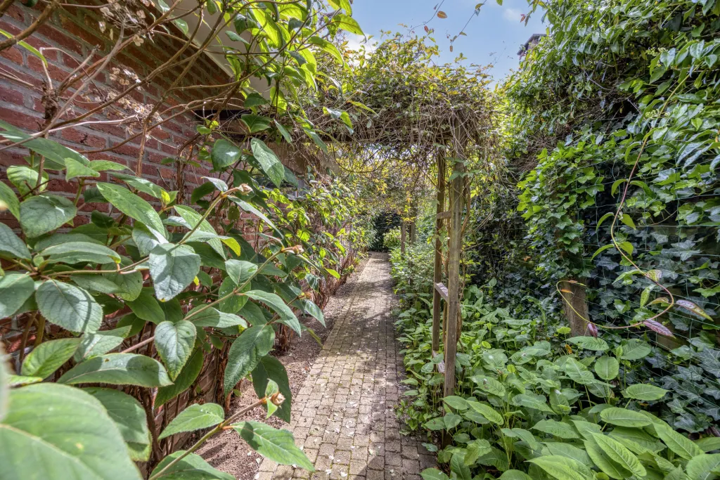 Oudebaan3663000Leuven-39_web.jpg