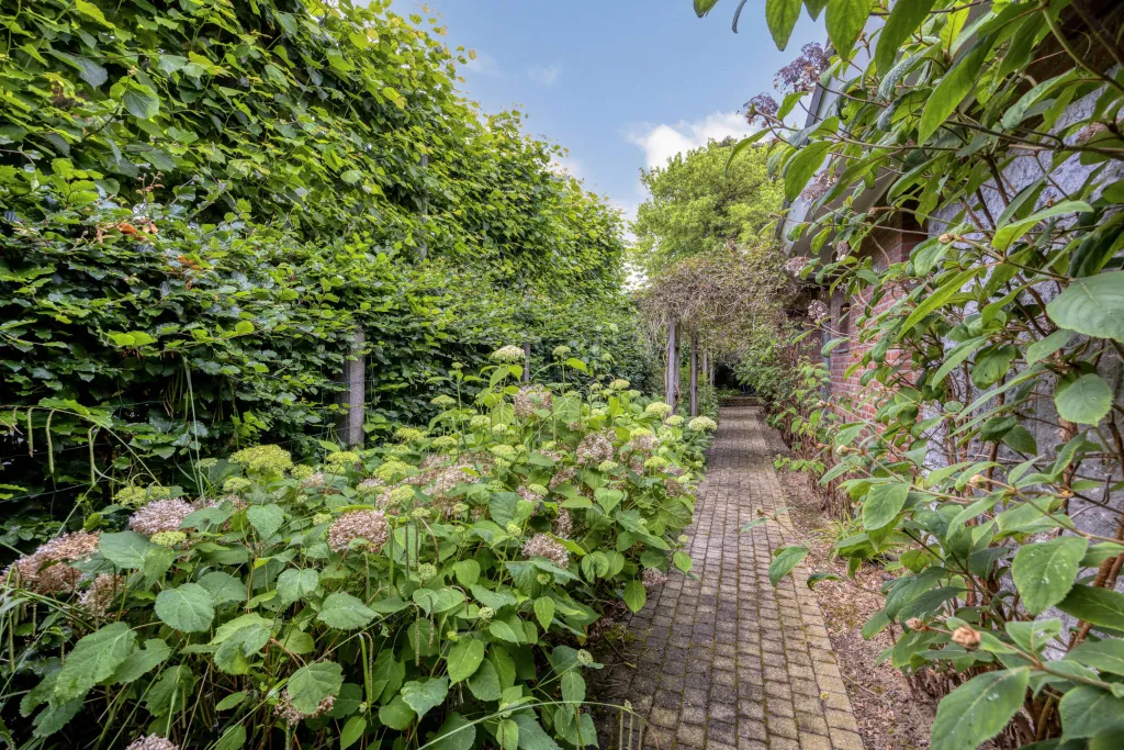 Oudebaan3663000Leuven-38_web.jpg