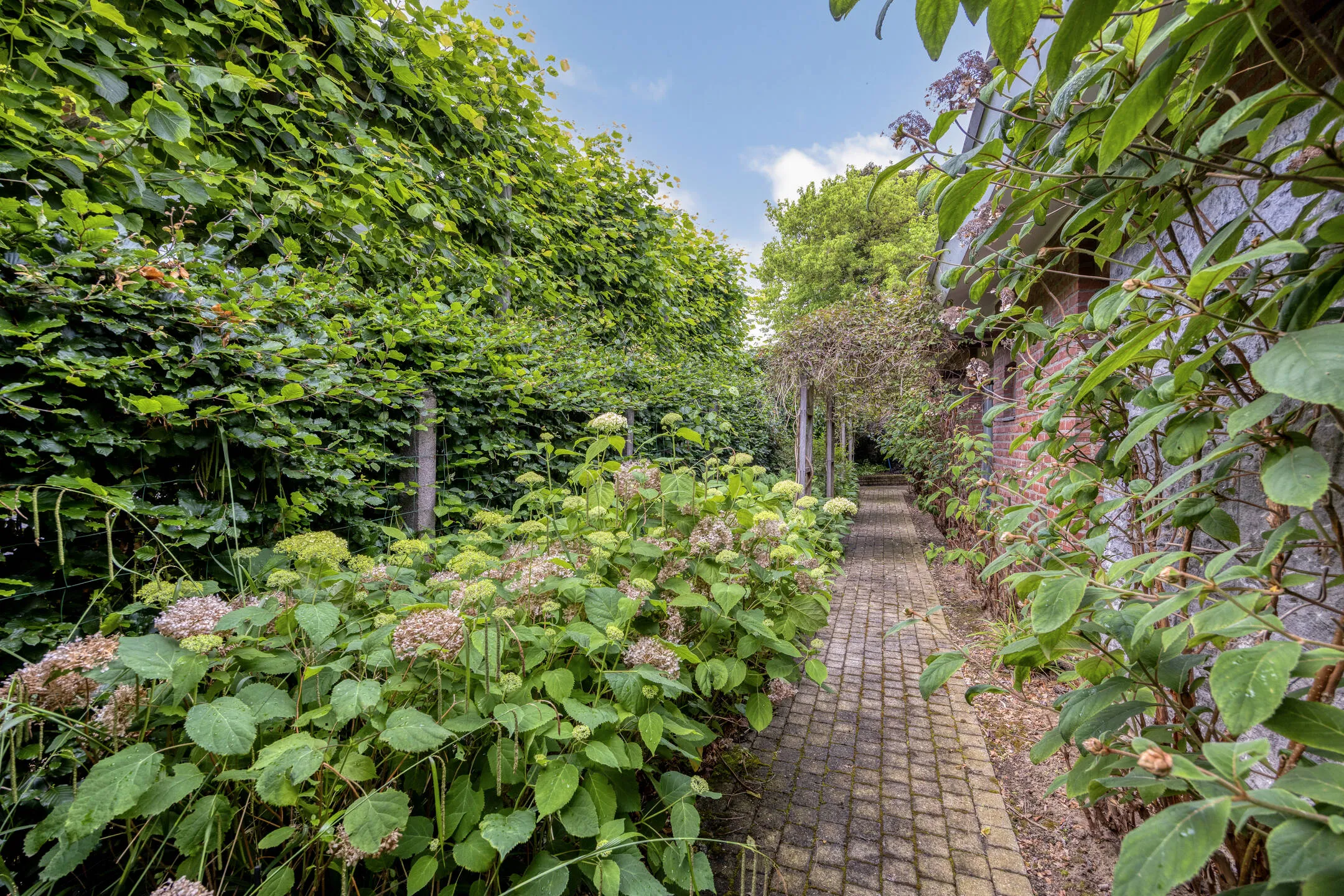 Oudebaan3663000Leuven-38_web.jpg