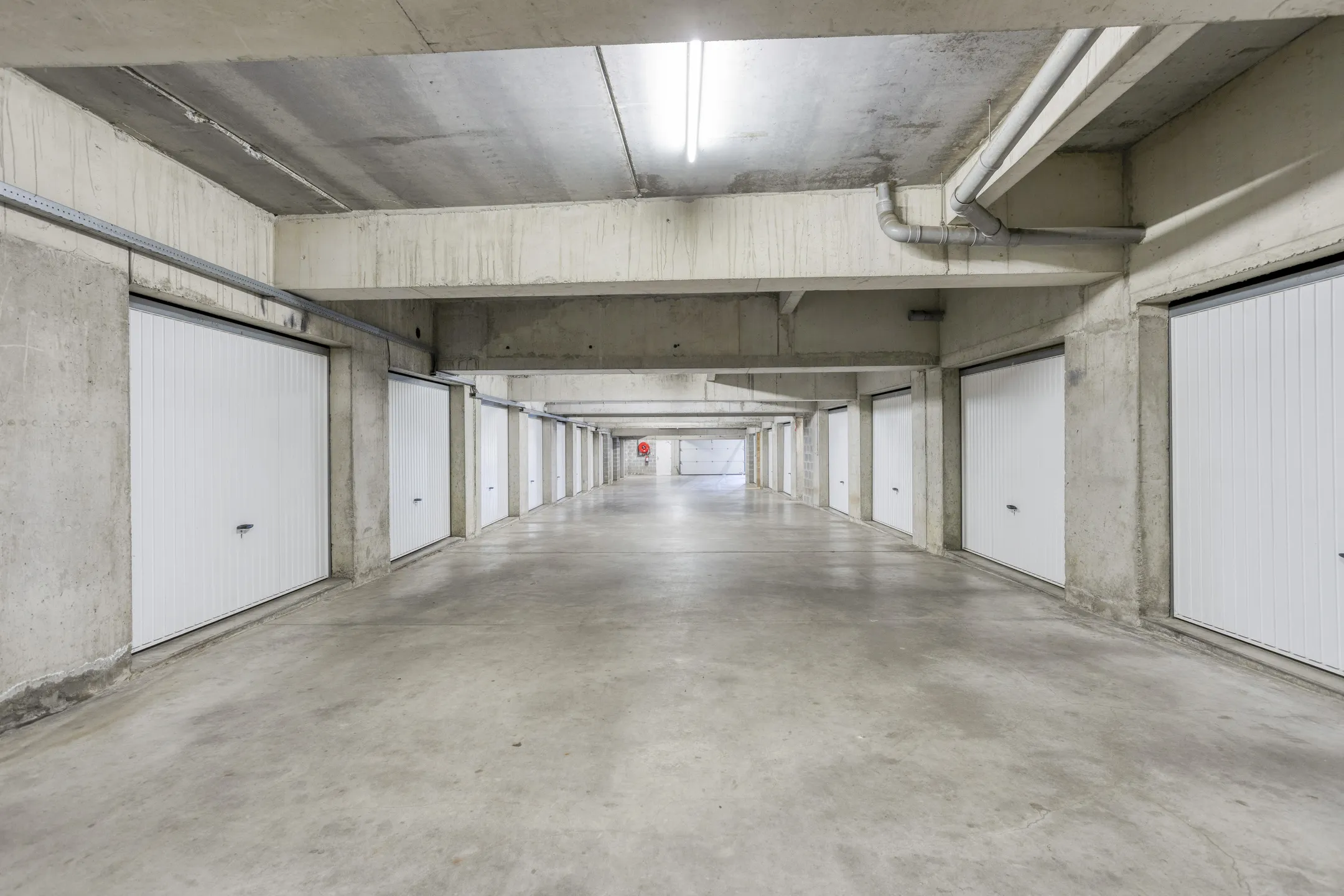 Biezeput87141501Halle-32_web.jpg