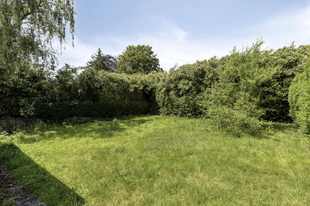 Nieuwenbos381702Dilbeek-41_web.jpg