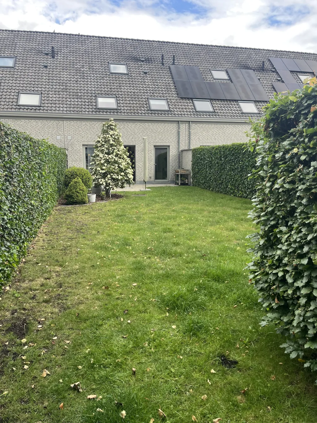 IMG_3864.jpeg