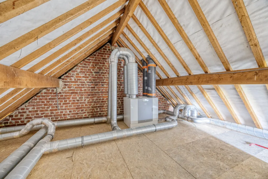 Neremsbroek303700TongerenBorgloon-30_web.jpg