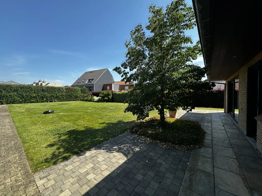 IMG_5394.jpeg
