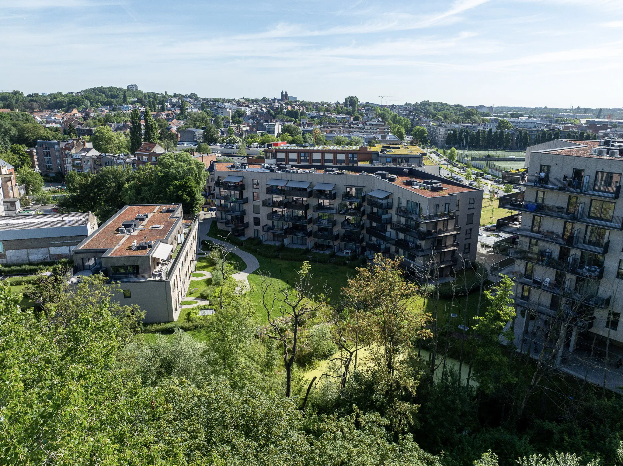 43-DJI_0772.jpg