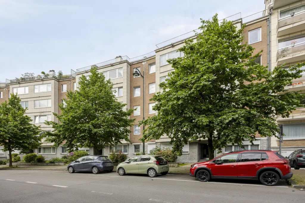 jeanPalfynlaan1001090Jette-31_web.jpg