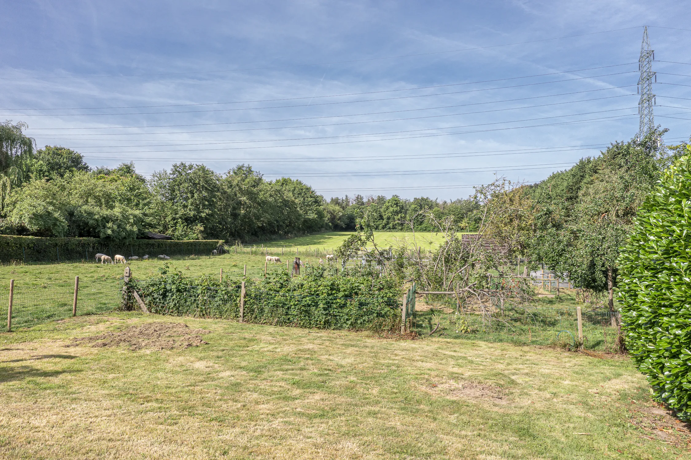 Bodegemstraat-144-Dilbeek-3.JPG