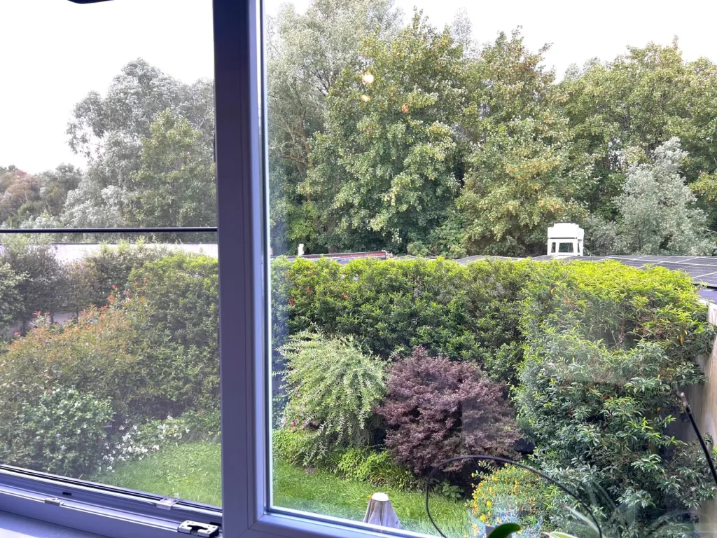 B8.jpg