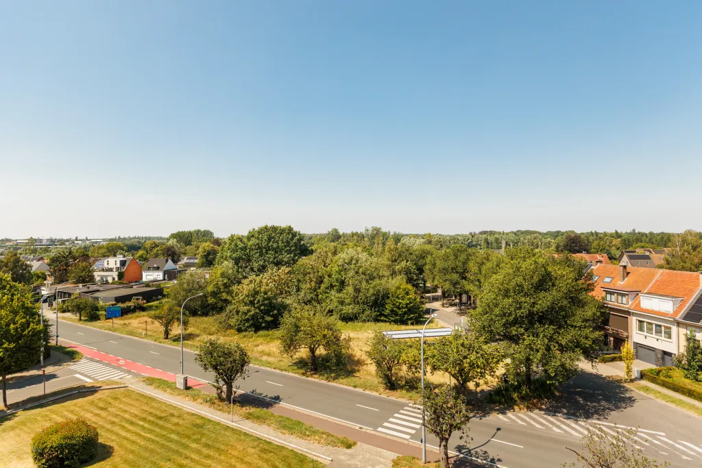 ALT-20260707-1-12.jpg